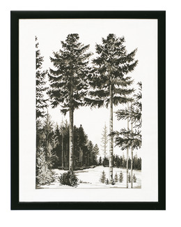 Broderikit Tavla Skogsgläntan