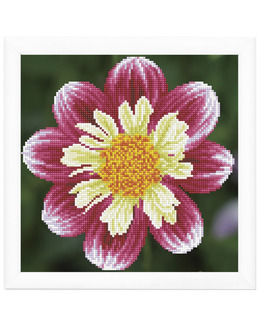 Diamond Dotz Daisy-A-Day
