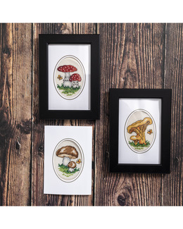 Broderikit Tavlor/Kort Svampar 3-pack