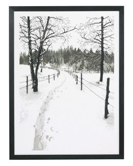 Broderikit Tavla Grafisk natur