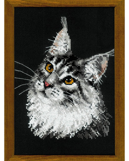 Broderikit Tavla Maine coon