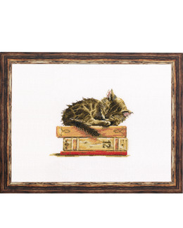 Broderikit Tavla Sovande katt