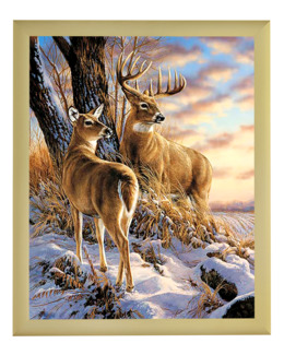 Diamond painting En vinterdag