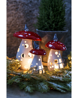 Ljuslykta Jul Vätte På Svamp