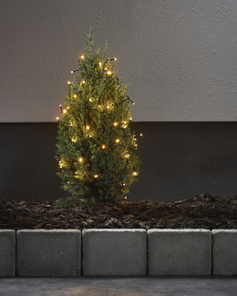 Star Trading LED Ljusslinga Golden Warm White 3 meter