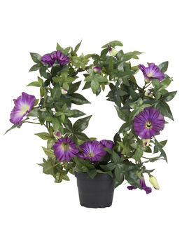 Konstväxt på båge klockformade blommor