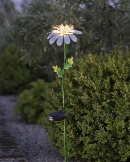 Solcellsdekoration Daisy Prästkrage