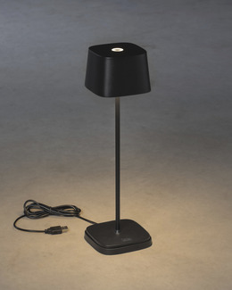 Bordslampa Carpi LED/USB