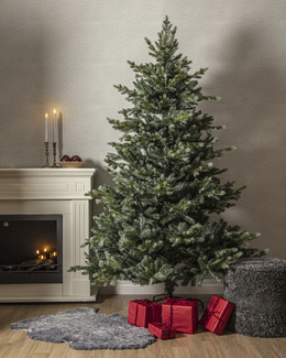 Julgran Greyland