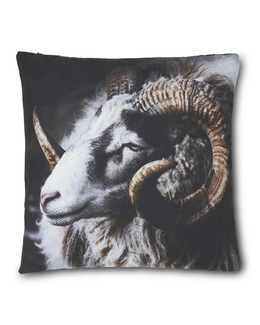 Kuddfodral JulBock Bruno