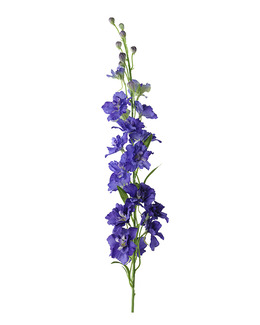 Konstväxt Delphinium 1-pack