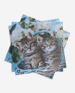 Servetter 1st 20-pack Kattungar