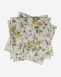 Servetter 1st 20-pack Ängsblommor