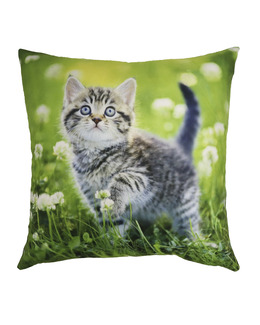 Kuddfodral Kattunge 1-pack