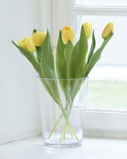 Kunstplante Tulipan 5-pk 36 cm Strikking, pynt, garn og strikkeoppskrifter