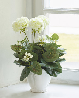 Konstväxt Pelargon 35 cm