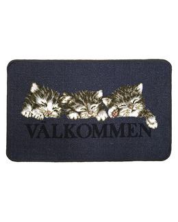 Dörrmatta Katt